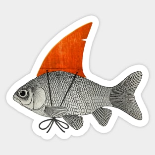 Fish with a Shark Fin Sticker